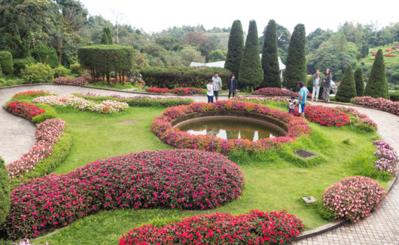 Tuin Inthanon Thailand