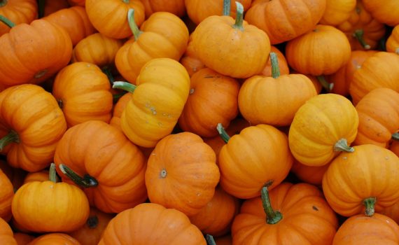 Oktober - Pompoenen
