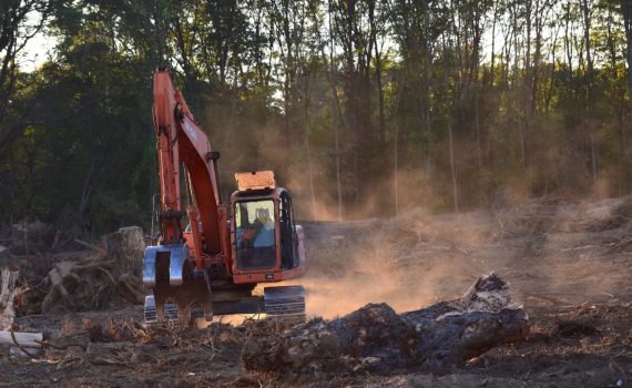 Waarom venielen we de natuur